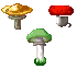 Mushrooms