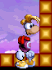 Rayman's size in blocks