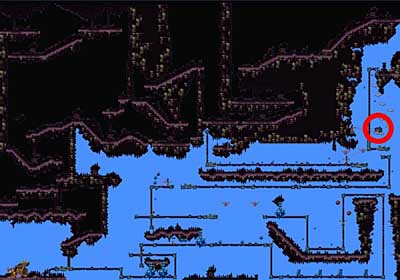 Cave Level 6